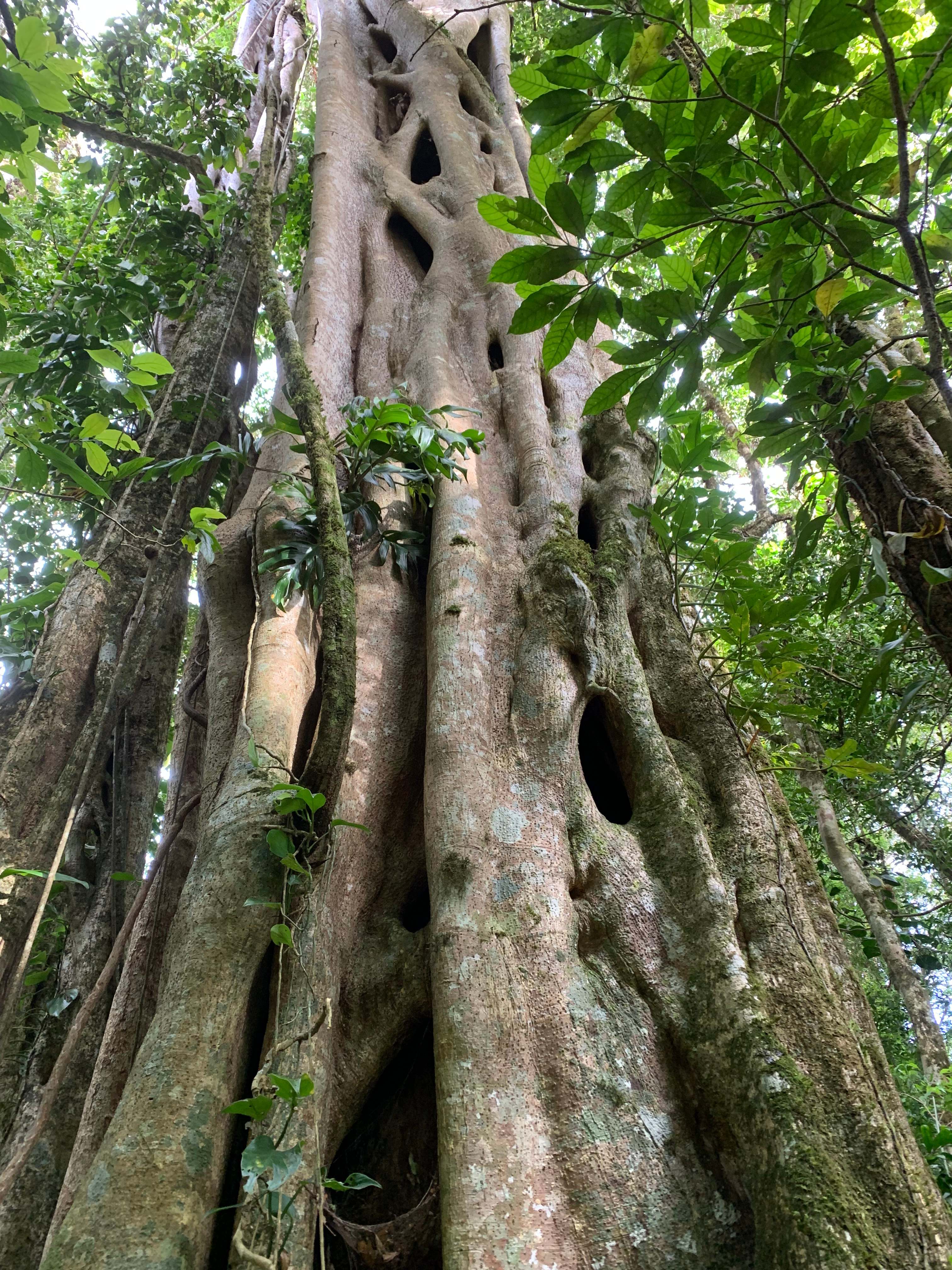 Costa Rica